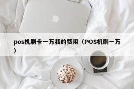 pos机刷卡一万我的费用（POS机刷一万）