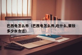 巴西龟怎么养（巴西龟怎么养,吃什么,要放多少水合适）
