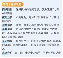 羊小咩多久有临时额度(羊小咩6000额度变12000)