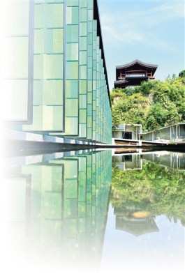 龙泉千峰翠色入瓷来（城市味道・行走县城看中国）