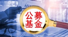 公募最新调仓曝光！医药股即将归来？公募喊话：重点把握这两大"洼地"