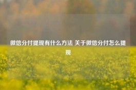 微信分付提现有什么方法 关于微信分付怎么提现的方法