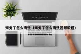 海兔子怎么清洗（海兔子怎么清洗视频教程）