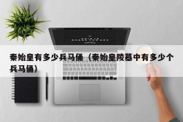 秦始皇有多少兵马俑（秦始皇陵墓中有多少个兵马俑）