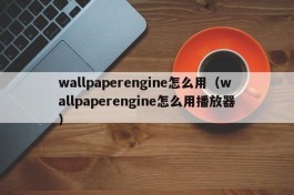 wallpaperengine怎么用（wallpaperengine怎么用播放器）