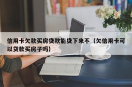 信用卡欠款买房贷款能贷下来不（欠信用卡可以贷款买房子吗）