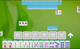 麻将技巧视频(麻将技巧视频讲座)