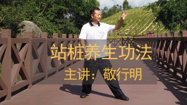 站桩的正确方法视频(如何站桩的正确方法视频)