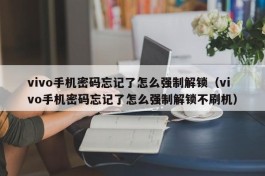 vivo手机密码忘记了怎么强制解锁（vivo手机密码忘记了怎么强制解锁不刷机）