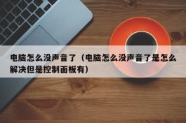 电脑怎么没声音了（电脑怎么没声音了是怎么解决但是控制面板有）