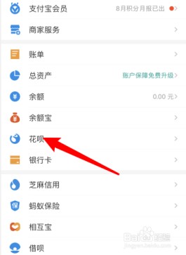 支付宝花呗怎么关掉分期付款(支付宝花呗怎么关闭自动还款)