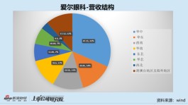 眼科透视|爱尔眼科龙头地位凸显 何氏眼科辽宁区域收入贡献超97%