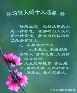 老实人的处世技巧(老实人如何)