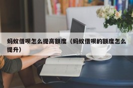 蚂蚁借呗怎么提高额度（蚂蚁借呗的额度怎么提升）