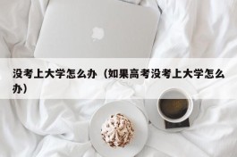 没考上大学怎么办（如果高考没考上大学怎么办）