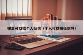 哪里可以拉个人征信（个人可以拉征信吗）