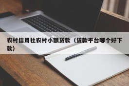 农村信用社农村小额贷款（贷款平台哪个好下款）