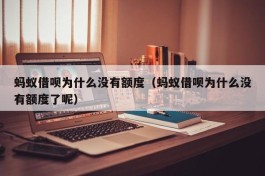 蚂蚁借呗为什么没有额度（蚂蚁借呗为什么没有额度了呢）