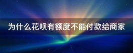 为什么花呗有额度不能付款给商家