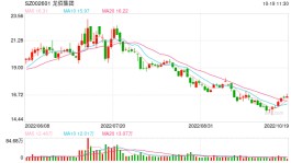 钛白粉龙头 龙佰集团要去探勘锂矿了