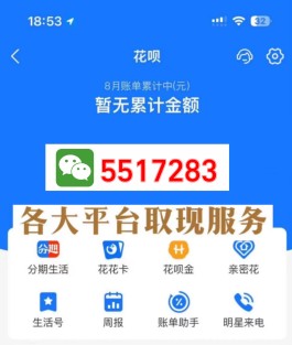 羊小咩购物额度上征信吗(羊小咩消费额度上征信吗)