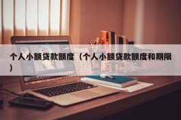 个人小额贷款额度（个人小额贷款额度和期限）