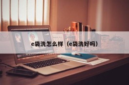 e袋洗怎么样（e袋洗好吗）