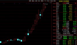 电热毯订单金额仅有133万元 彩虹集团升势终结？