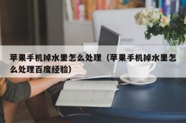 苹果手机掉水里怎么处理（苹果手机掉水里怎么处理百度经验）