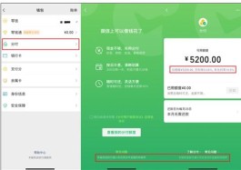 怎么把分付的钱刷出来,极速刷分付模式!