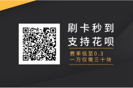 双付天下；支持刷信用卡和花呗的app—24小时秒到！