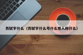 苏轼字什么（苏轼字什么号什么世人称什么）