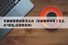 车辆被套牌违章怎么办（车被套牌违章了怎么办?别急,这就教你如）