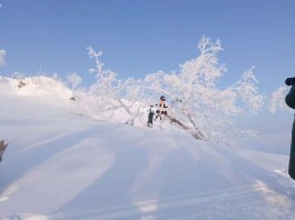 冬季旅游去哪里看雪最过瘾(冬季看雪旅游景点推荐国内)