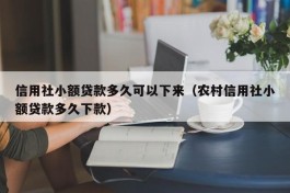 信用社小额贷款多久可以下来（农村信用社小额贷款多久下款）