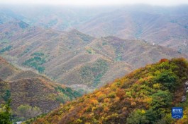 北京：百花山秋色