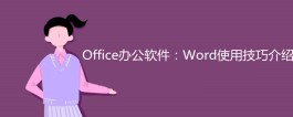 word的使用技巧(word的使用技巧大全)