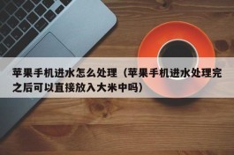 苹果手机进水怎么处理（苹果手机进水处理完之后可以直接放入大米中吗）