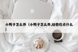 小鸭子怎么养（小鸭子怎么养,给他吃点什么）