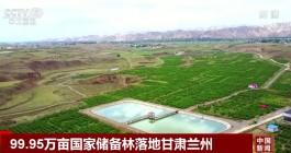 99.95万亩国家储备林落地甘肃兰州为保持黄河水体健康提供保障