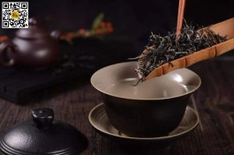 泡茶的方法(泡茶的方法步骤)
