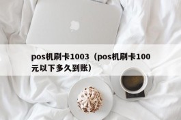 pos机刷卡1003（pos机刷卡100元以下多久到账）
