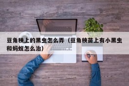 豆角秧上的黑虫怎么弄（豆角秧苗上有小黑虫和蚂蚁怎么治）