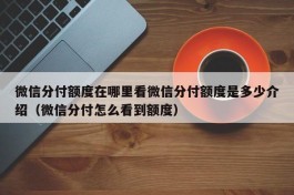 微信分付额度在哪里看微信分付额度是多少介绍（微信分付怎么看到额度）