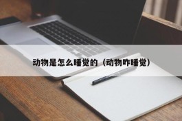 动物是怎么睡觉的（动物咋睡觉）