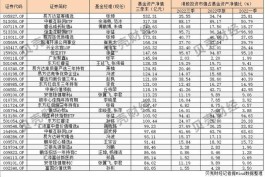 港股怎么投资，明星基金经理行为分化，这些个股成“香饽饽”