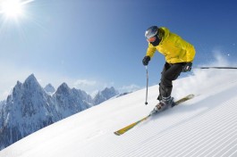 自由式滑雪空中技巧(都灵冬奥会男子自由式滑雪空中技巧)