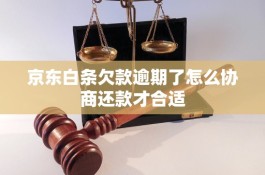 京东白条怎么还款(京东白条怎么提前还款)