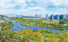 江苏如皋：园城景相融穿过公园去上班
