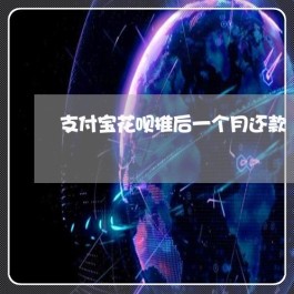 支付宝怎么还款花呗(支付宝怎么还款花呗不能用)